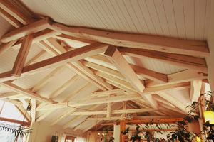 isoboard rafters